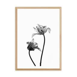 East End Prints Iris Print - thumbnail 2