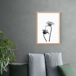 East End Prints Iris Print - thumbnail 1