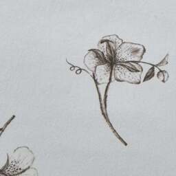 Bridget Etched Floral Natural 100% Cotton Duvet Cover & Pillowcase Set - thumbnail 6