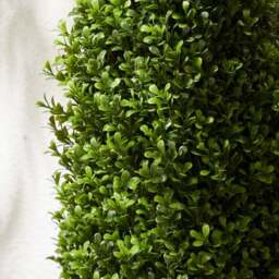 Set of 2 Artificial Boxwood Cone Shaped Trees in Woven Plant Pots - thumbnail 3