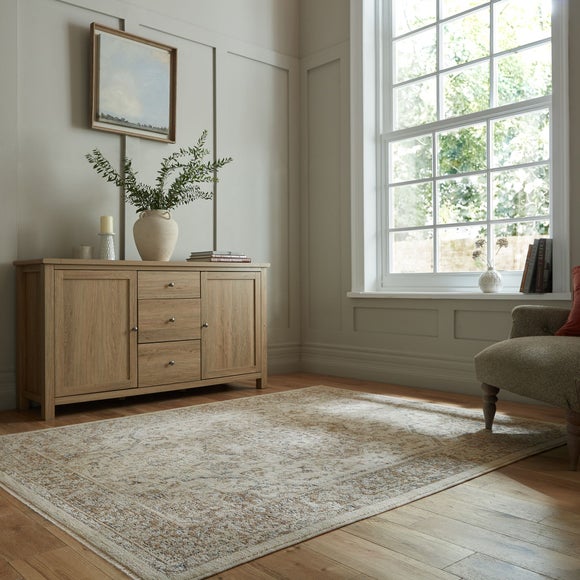 Liora Traditional Rug - image 1