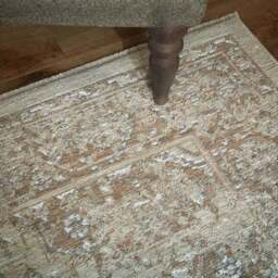 Liora Traditional Rug - thumbnail 6