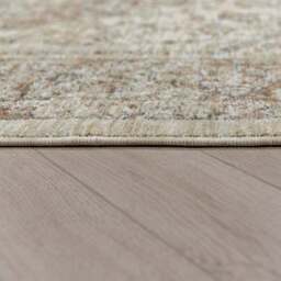 Liora Traditional Rug - thumbnail 4