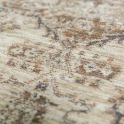 Liora Traditional Rug - thumbnail 2