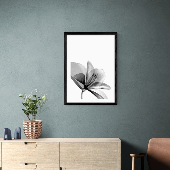 East End Prints Amaryllis Print - image 1