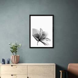 East End Prints Amaryllis Print - thumbnail 1