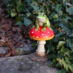Fallen Fruits Frog Fly Agaric Ornament