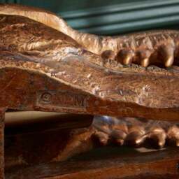 Tyrannosaurus Skull Table Lamp - thumbnail 3