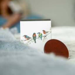 Meg Hawkins The Lookout British Birds Soy Candle - thumbnail 4