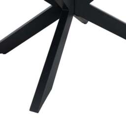 Indus Valley Athena Coffee Table - thumbnail 5