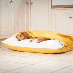 Lords and Labradors Burrow Dog Bed