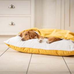 Lords and Labradors Burrow Dog Bed - thumbnail 2
