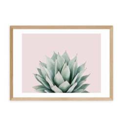 East End Prints Blush Succulent Print - thumbnail 2