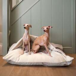 Lords and Labradors Sriped Burrow Dog Bed - thumbnail 1