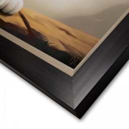 Cedar & Sage Happiness Is Framed Canvas - thumbnail 2