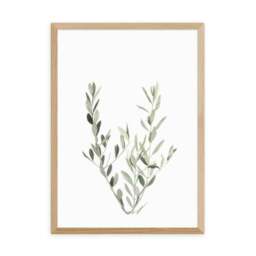 East End Prints Botanical II - Olive Branch Print - thumbnail 2