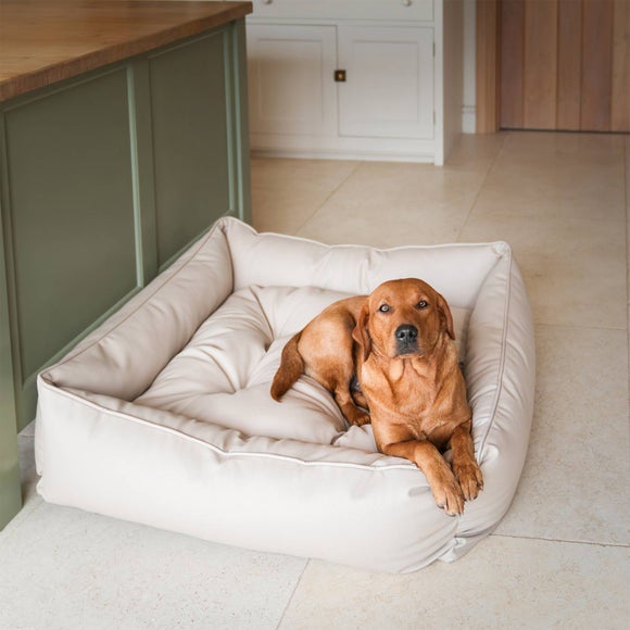 Lords and Labradors Rhino Leather Box Dog Bed - image 1