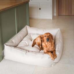 Lords and Labradors Rhino Leather Box Dog Bed - thumbnail 1