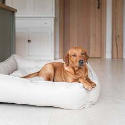 Lords and Labradors Rhino Leather Box Dog Bed - thumbnail 2