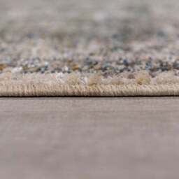 Remy Traditional Floral Rug - thumbnail 4
