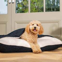 Lords and Labradors Essentials Sleepy Burrow Dog Bed - thumbnail 3