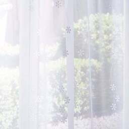 Daisy Made to Measure Voile Curtains - thumbnail 3