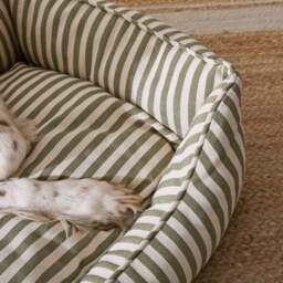 Linford Stripe Box Dog Bed - thumbnail 3