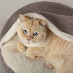 Scruffs Seattle Burrow Cat Bed - thumbnail 2