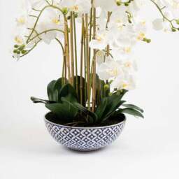 Artificial Orchid in Blue and White Plant Pot - thumbnail 3