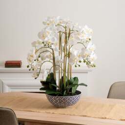 Artificial Orchid in Blue and White Plant Pot - thumbnail 1