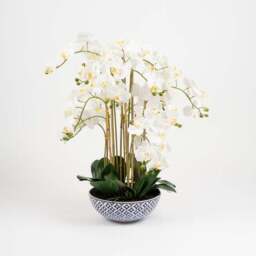 Artificial Orchid in Blue and White Plant Pot - thumbnail 2
