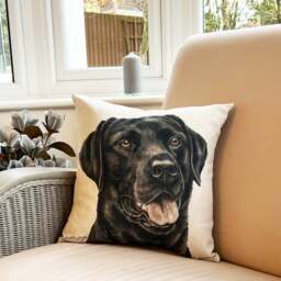 Daro Black Labrador Square Cushion - thumbnail 1