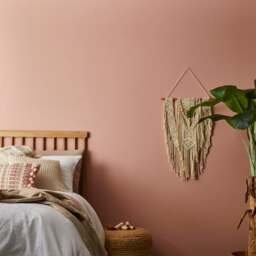 Dunelm Eggshell Emulsion Paint - thumbnail 1
