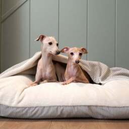 Lords and Labradors Sriped Burrow Dog Bed - thumbnail 3