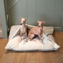 Lords and Labradors Sriped Burrow Dog Bed - thumbnail 2