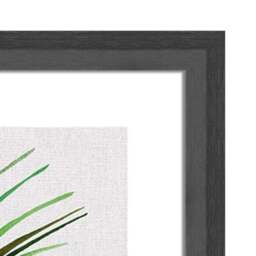 The Art Group Areca Palm Plant Framed Print - thumbnail 3