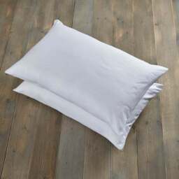 Fogarty Pack of 2 Eucalyptus Scented Pillow Protectors - thumbnail 3