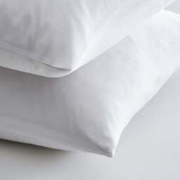 Fogarty Pack of 2 Eucalyptus Scented Pillow Protectors - thumbnail 2