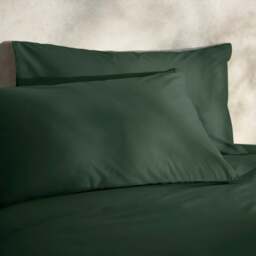 100% Egyptian Cotton 220 Thread Count Standard Pillowcase Pair - thumbnail 1