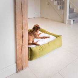 Lords and Labradors Velvet Box Dog Bed - thumbnail 2