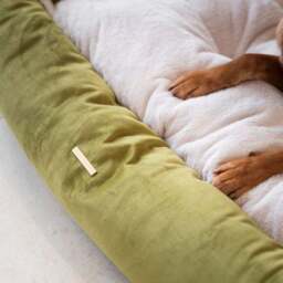 Lords and Labradors Velvet Box Dog Bed - thumbnail 3