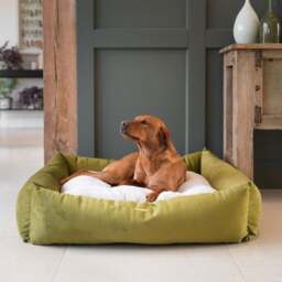 Lords and Labradors Velvet Box Dog Bed - thumbnail 1
