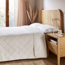 Cotton Lightweight Duvet