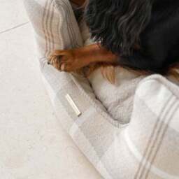Lords and Labradors Balmoral High Wall Dog Bed - thumbnail 2
