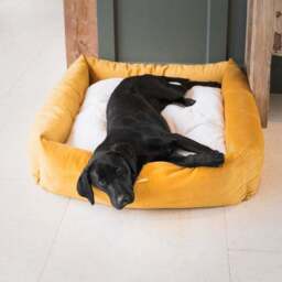 Lords and Labradors Velvet Box Dog Bed - thumbnail 2