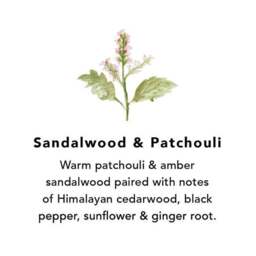 Northern Lights Set of 6 Sandalwood and Patchouli Votive Candles - thumbnail 2