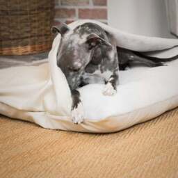 Lords and Labradors Savanna Burrow Dog Bed - thumbnail 3