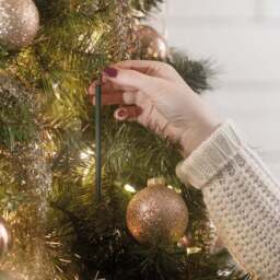 O' Christmas Tree Scentsicles - thumbnail 2