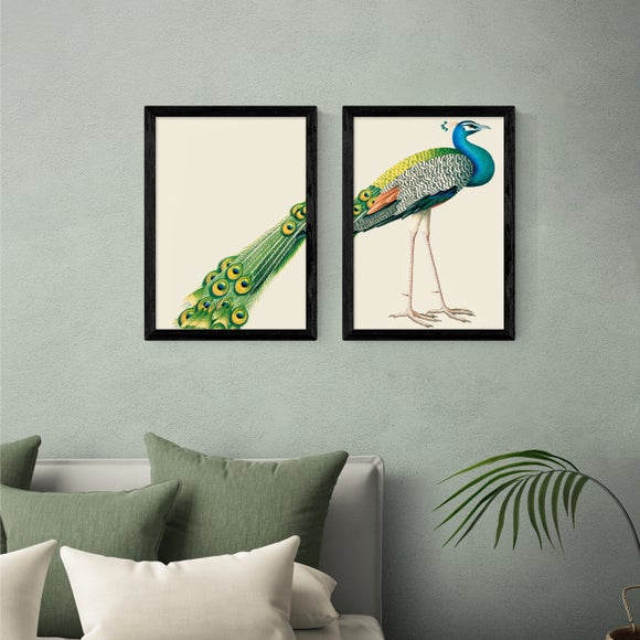 East End Prints Set of 2 Peacock Prints - image 1