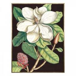 Cedar & Sage Laurel Tree Framed Canvas - thumbnail 4